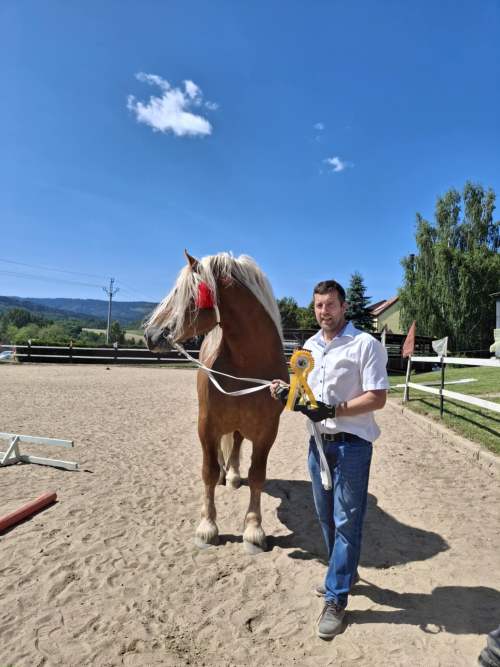 82a35cb1-3b8b-4b53-a570-e67cd6182e3c